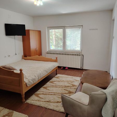 Vila Savinka Zlatibor Exteriér fotografie