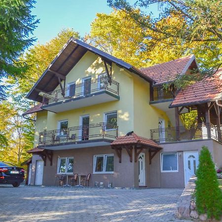 Vila Savinka Zlatibor Exteriér fotografie