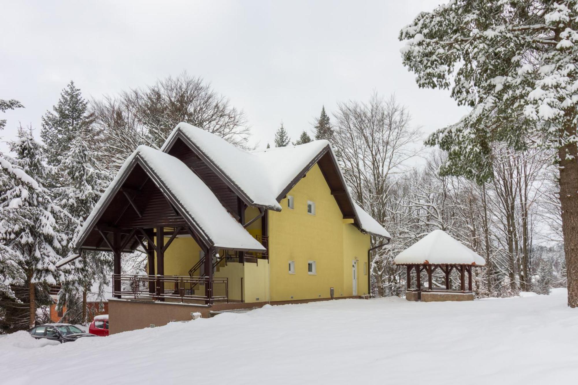 Vila Savinka Zlatibor Exteriér fotografie
