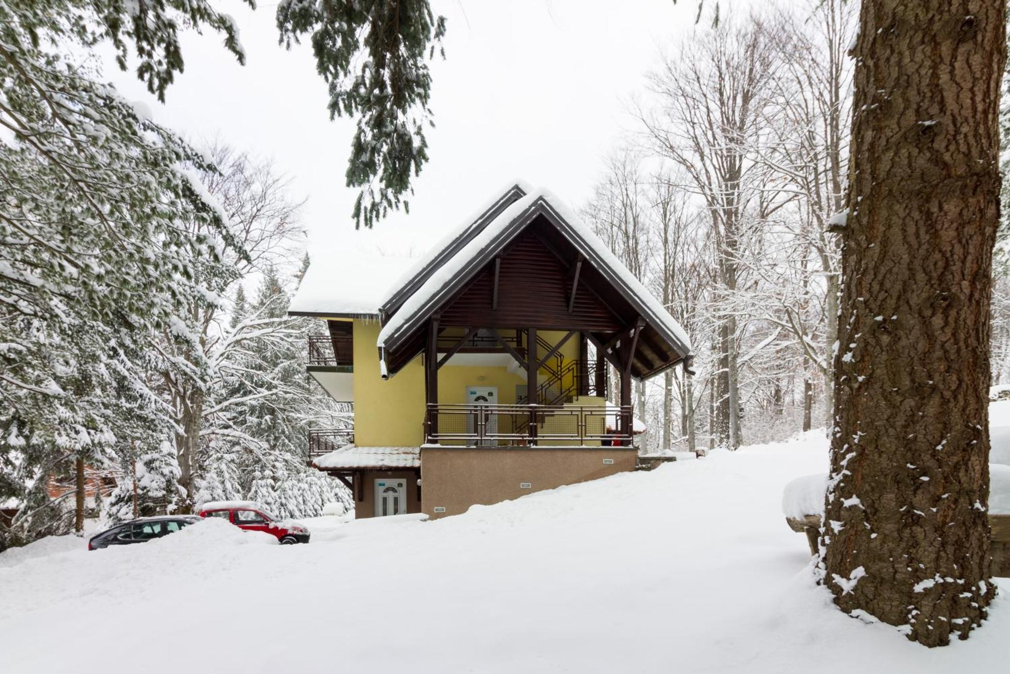 Vila Savinka Zlatibor Exteriér fotografie