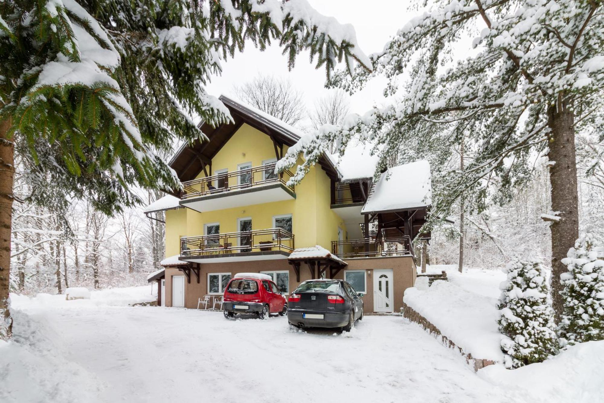 Vila Savinka Zlatibor Exteriér fotografie