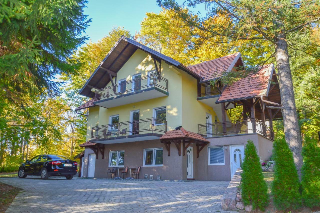 Vila Savinka Zlatibor Exteriér fotografie