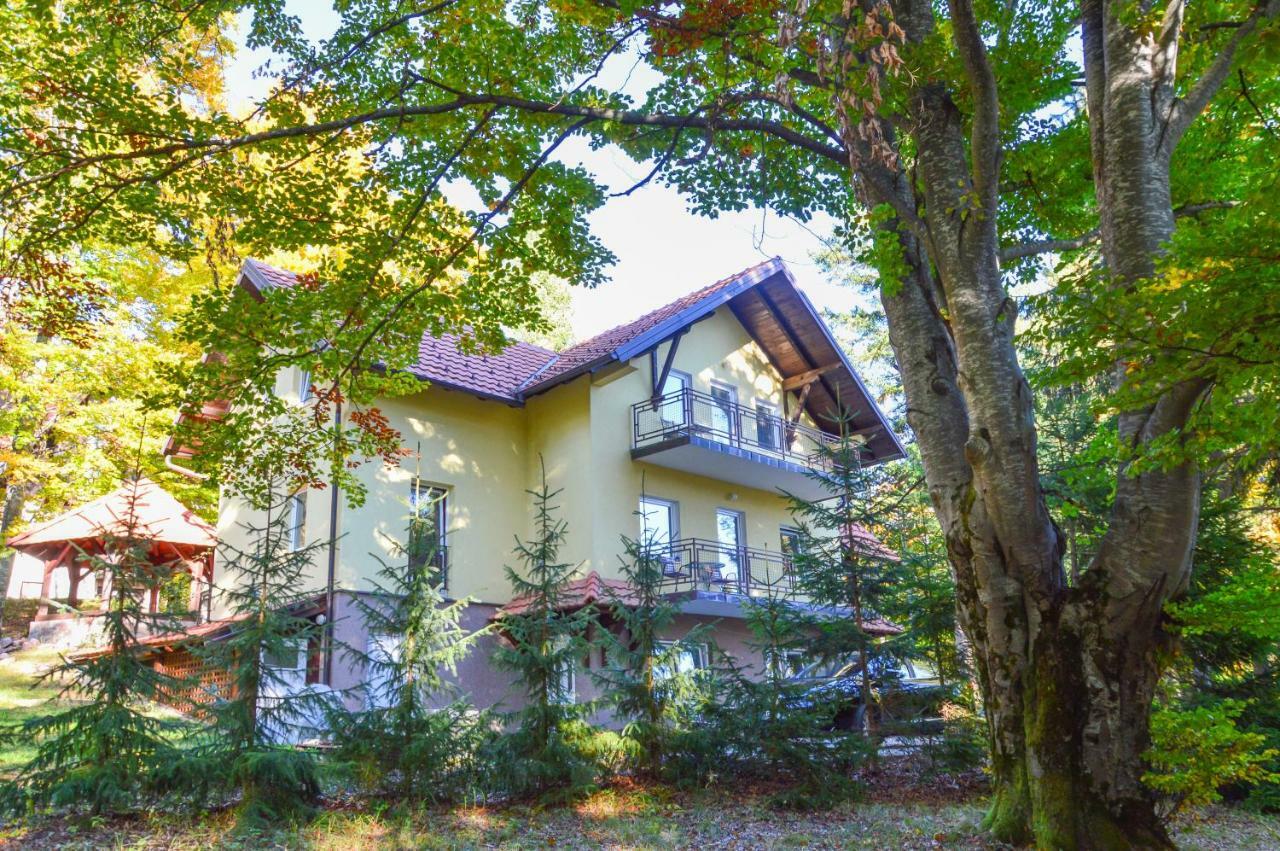 Vila Savinka Zlatibor Exteriér fotografie